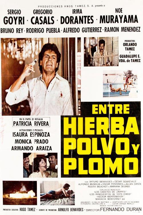 Entre Hierba, Polvo y Plomo 1984 official movie poster