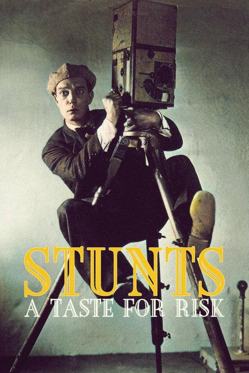 Stunts: A Taste for Risk 2023 official movie poster
