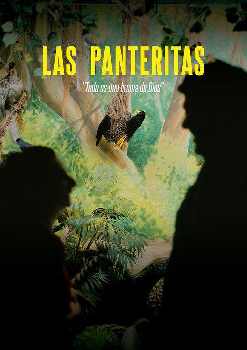 The Little Panthers 2025 official movie poster