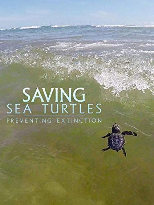 Saving Sea Turtles: Preventing Extinction  official movie poster