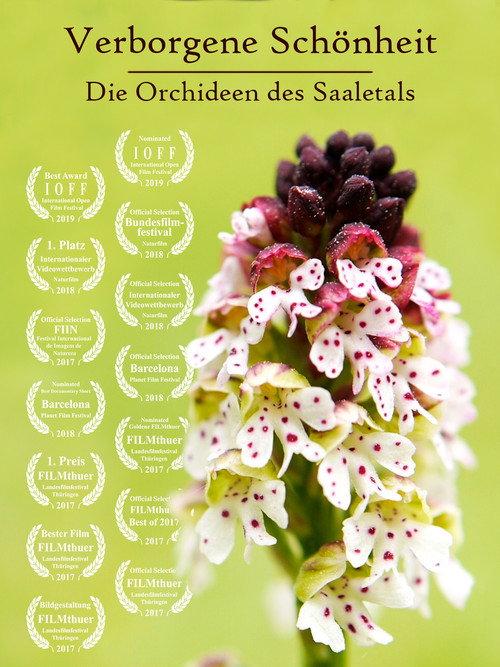Hidden Beauty - The Orchids of the Saale Valley 2017 official movie poster