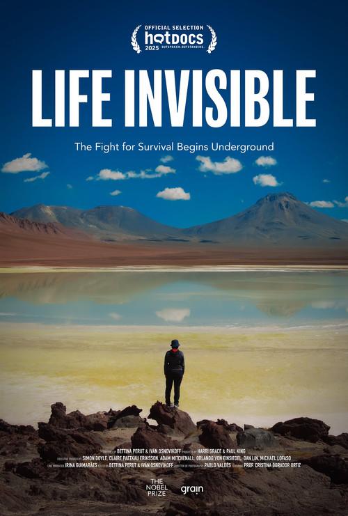 Life Invisible 2025 official movie poster