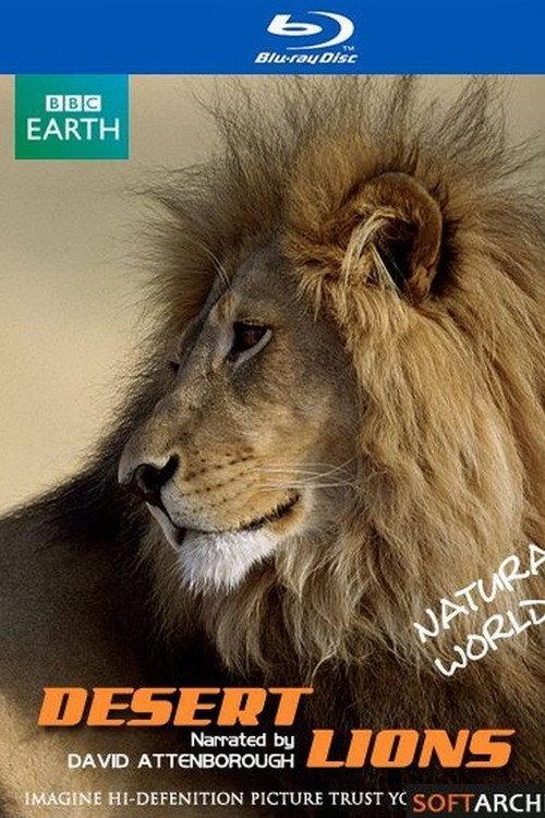 Desert Lions 2006 official movie poster