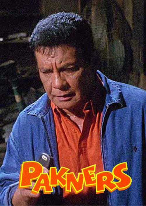 Pakners 2003 official movie poster