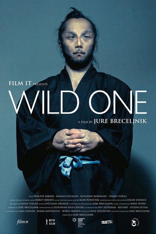 Wild One 2012 official movie poster