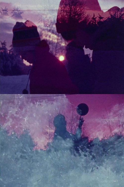 West By North 1977 official movie poster