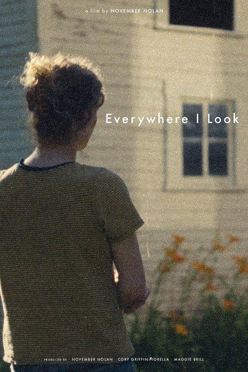 Everywhere I Look 2025 official movie poster