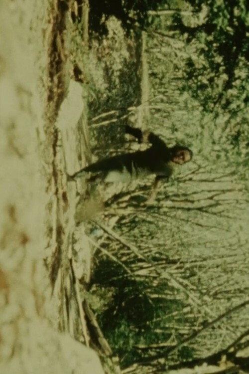 Fall Creek 1970 official movie poster