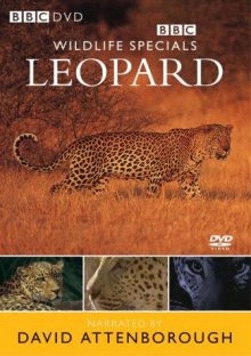 Leopard: The Agent of Darkness 1997 official movie poster
