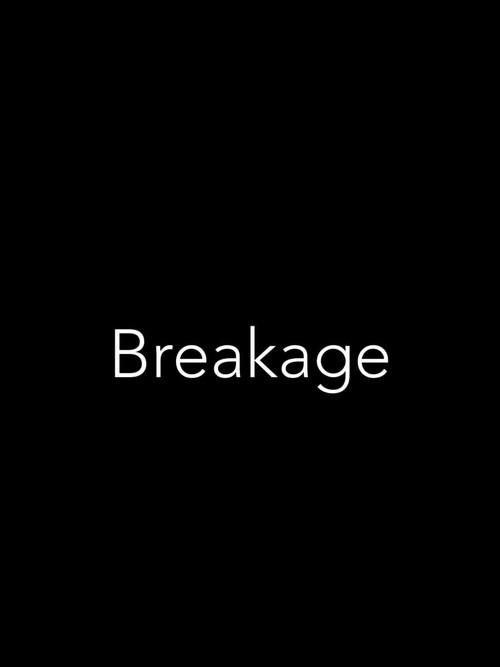 Breakage 2022 official movie poster