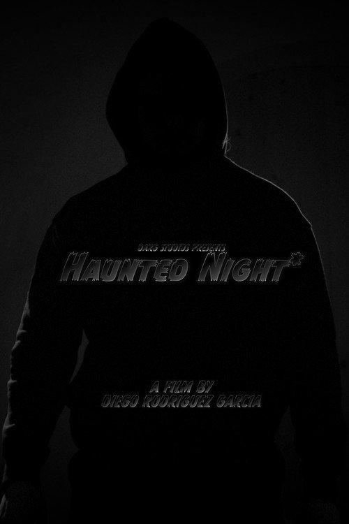 Haunted Night*  official movie poster