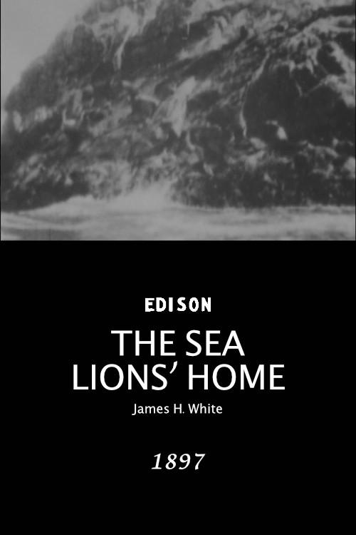 The Sea Lions' Home 1897 official movie poster
