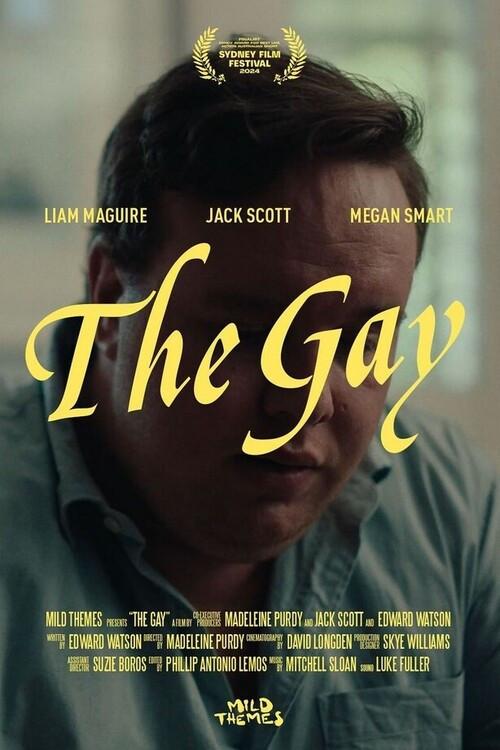 The Gay 2024 official movie poster