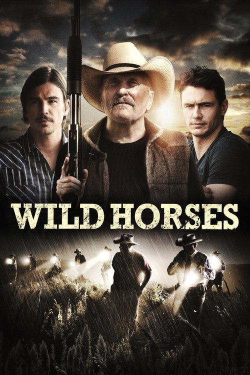 Wild Horses 2015 official movie poster