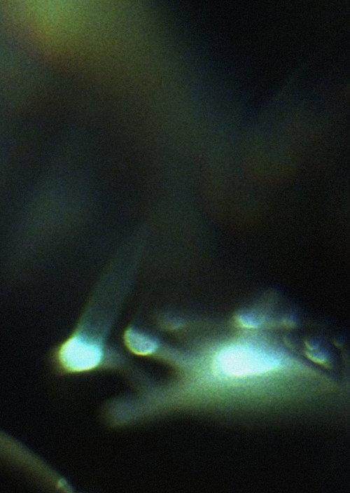 Prisms 2012 official movie poster