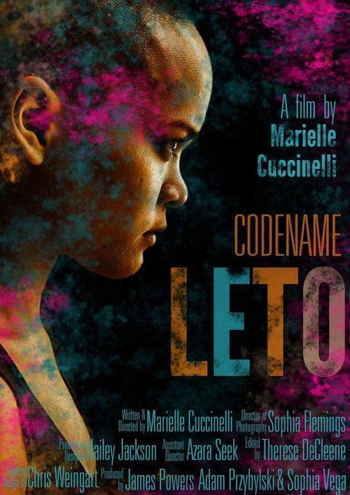 Codename Leto official movie poster