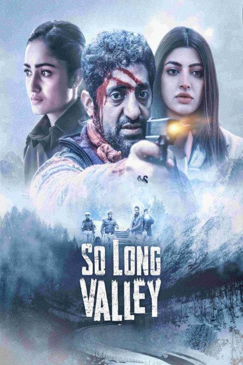 So Long Valley 2025 official movie poster