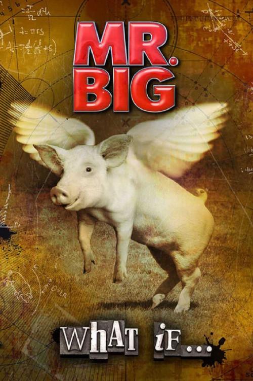 Mr. Big: The Making Of 'What If...' 2011 official movie poster