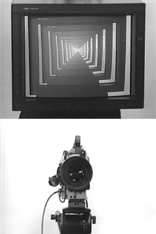 Observer / Observed 1975 official movie poster