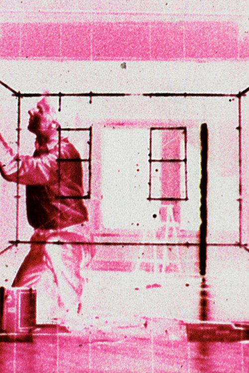 Painting Room Lights 1981 official movie poster