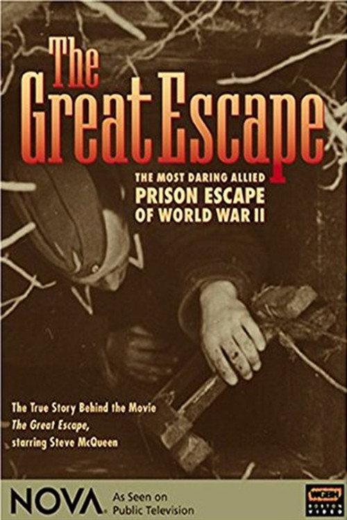 Great Escape 2004 official movie poster