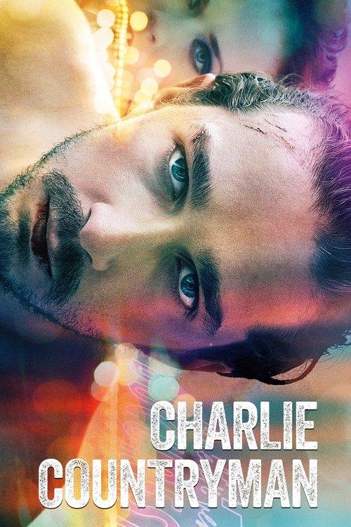 Charlie Countryman 2013 official movie poster