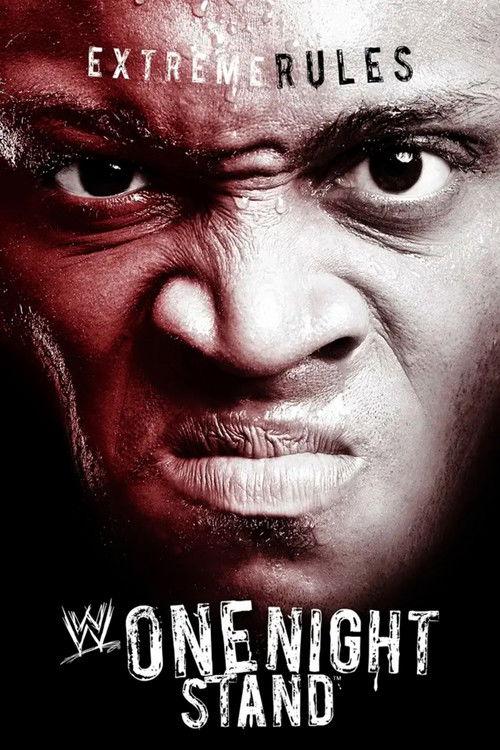 WWE One Night Stand 2007 2007 official movie poster