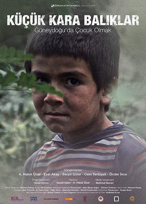 Little Black Fishes 2014 official movie poster