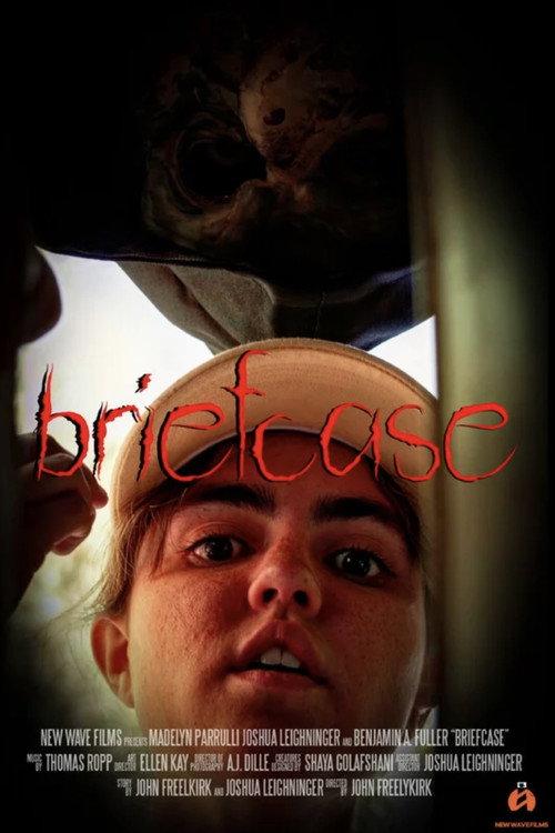 Briefcase 2025 official movie poster