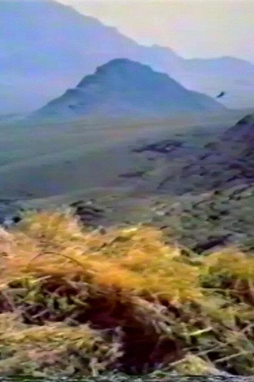 Think of the Kind Mountain 1995 official movie poster