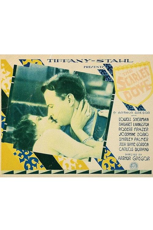 The Scarlet Dove 1928 official movie poster