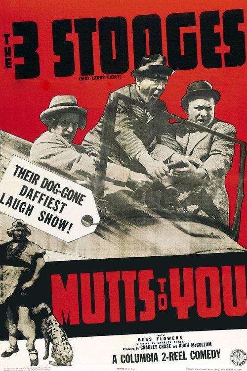 Mutts to You 1938 official movie poster