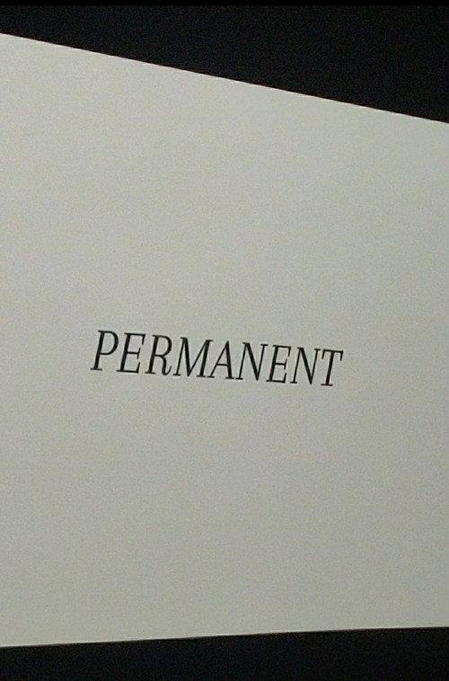 Permanent 2025 official movie poster