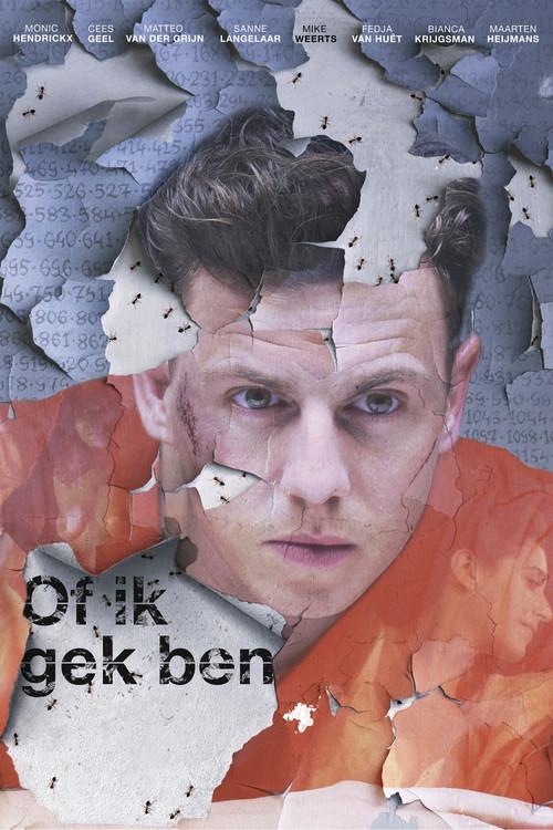 As If I'm Crazy 2016 official movie poster