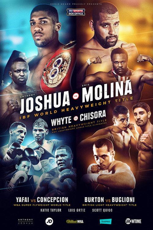 Anthony Joshua vs. Eric Molina 2016 official movie poster