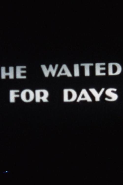 He Waited for Days 1980 official movie poster