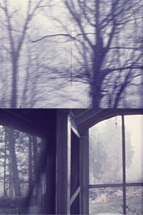 Ives House-Woodstock 1965 official movie poster