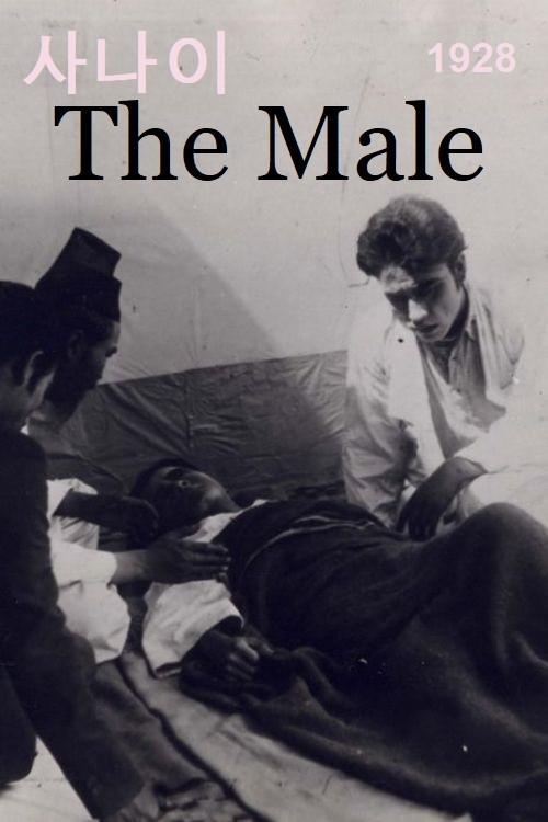 The Male 1928 official movie poster