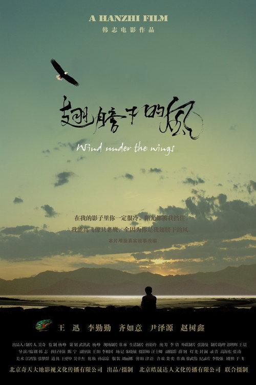 Wind Under The Wings 2010 official movie poster