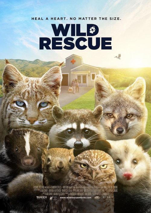 Wild Rescue 2025 official movie poster