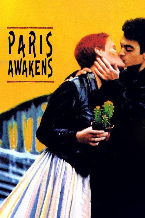 Paris Awakens 1991 official movie poster