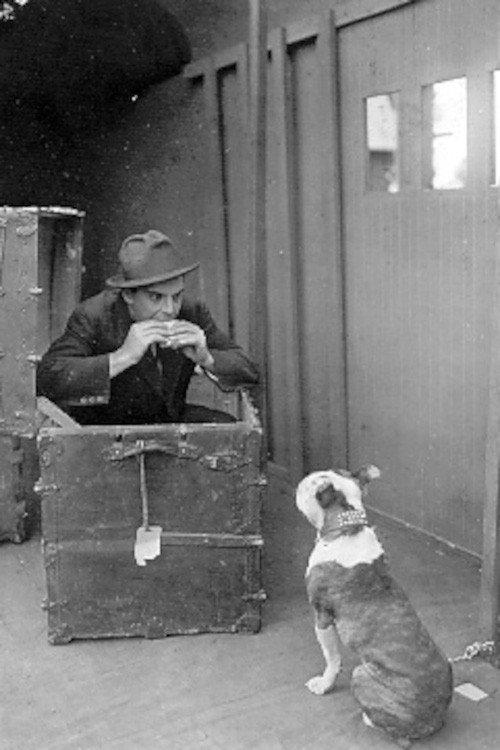 The Dog in the Baggage Car 1913 official movie poster
