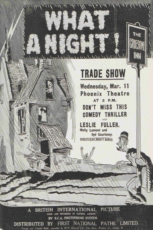 What a Night! 1931 official movie poster
