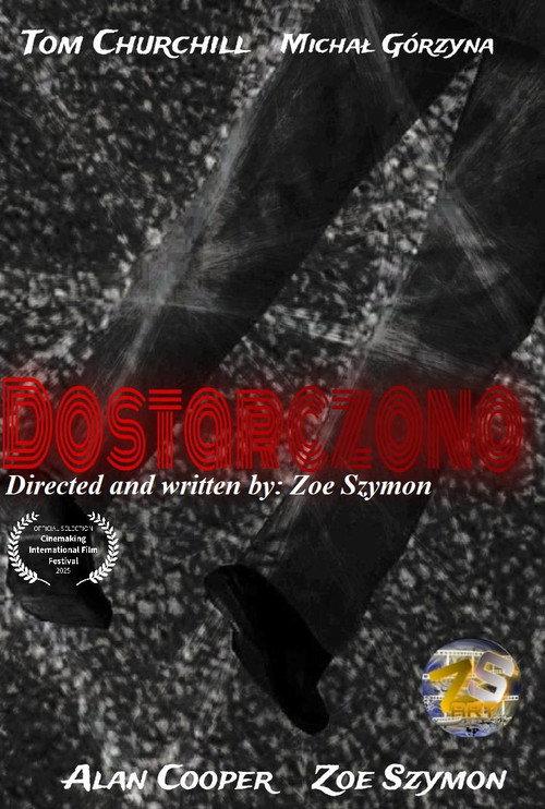 Dostarczono 2025 official movie poster