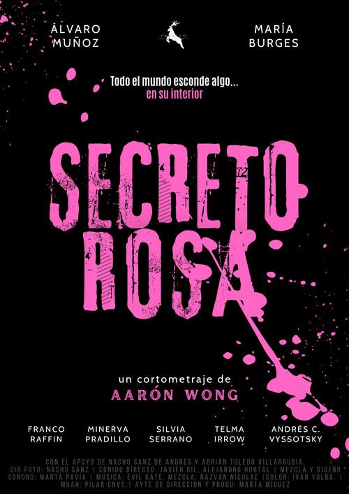 Secreto Rosa 2023 official movie poster