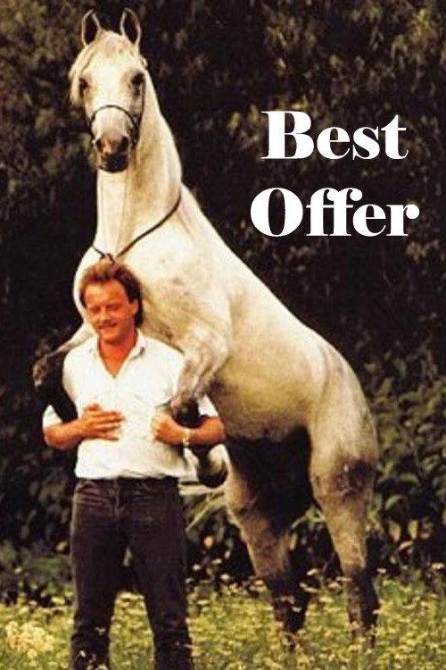 Best Offer 1993 official movie poster