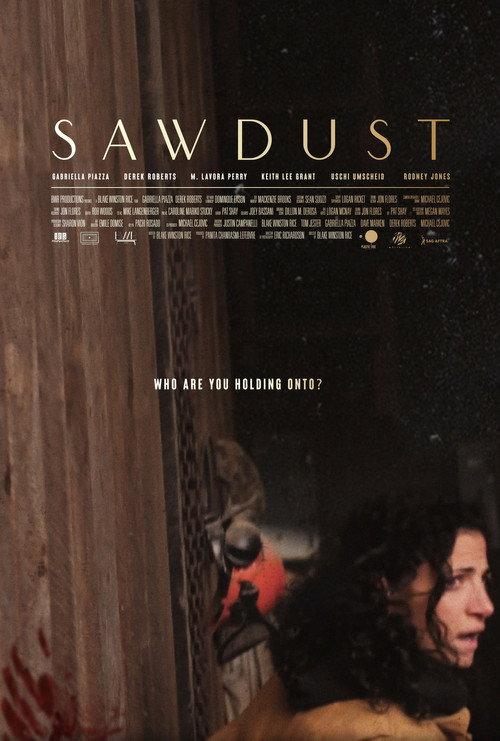 Sawdust 2022 official movie poster