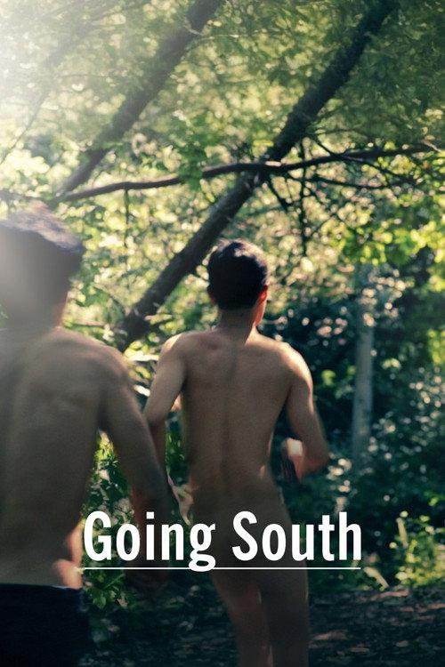 Going South 2012 official movie poster