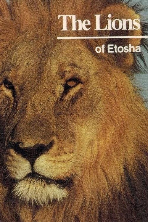 The Lions of Etosha 1981 official movie poster