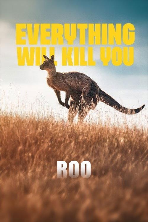 EVERYTHING WILL KILL YOU - ROO 2024 official movie poster